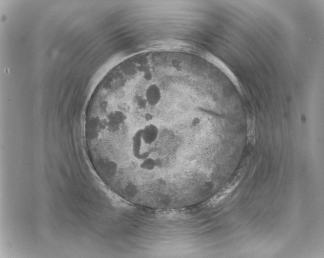 X0000070401099200607072238