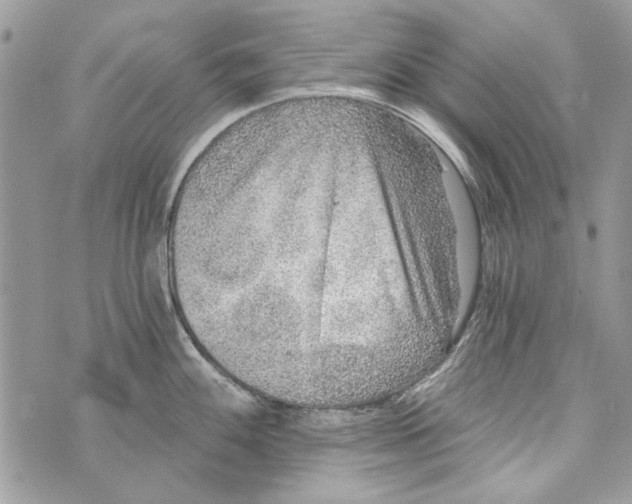 X0000070401100200607072238