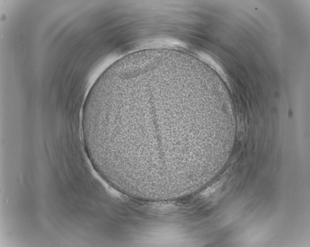 X0000070401103200607072238