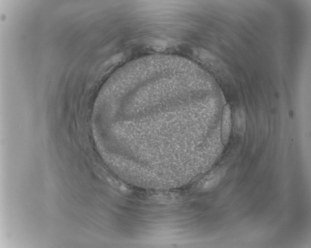 X0000070401105200607072237