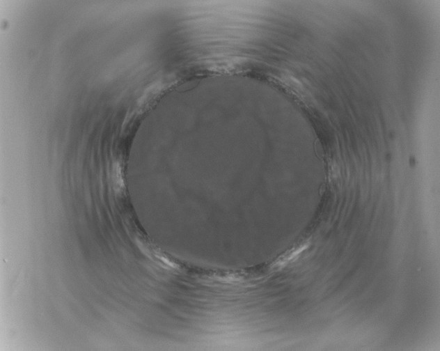 X0000070401106200607072237