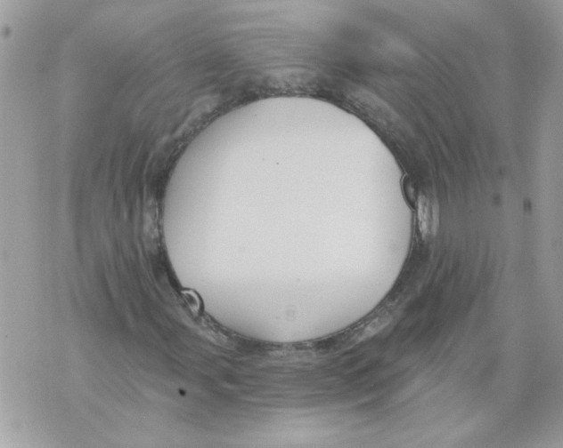 X0000070401107200607072237