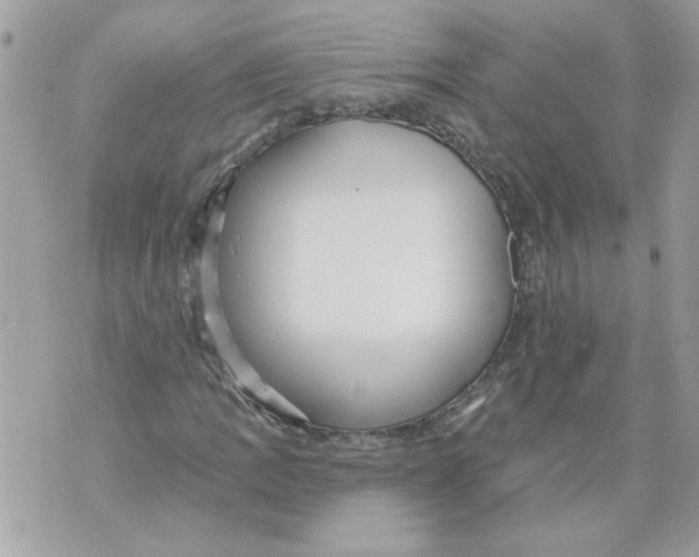 X0000070401109200607072237