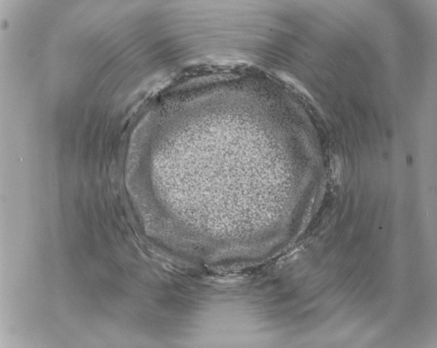 X0000070401110200607072237