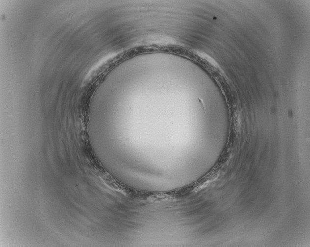 X0000070401112200607072237