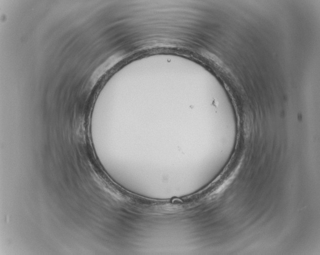 X0000070401113200607072237