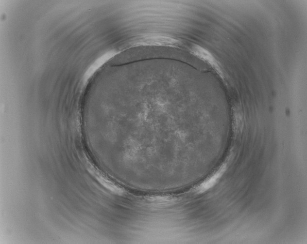 X0000070401114200607072237