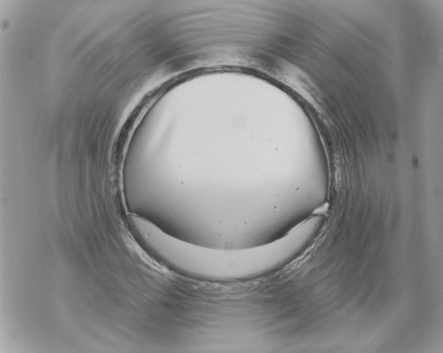 X0000070401116200607072237