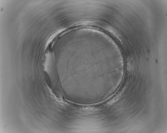 X0000070401117200607072237