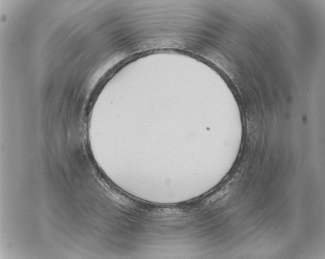 X0000070401119200607072237