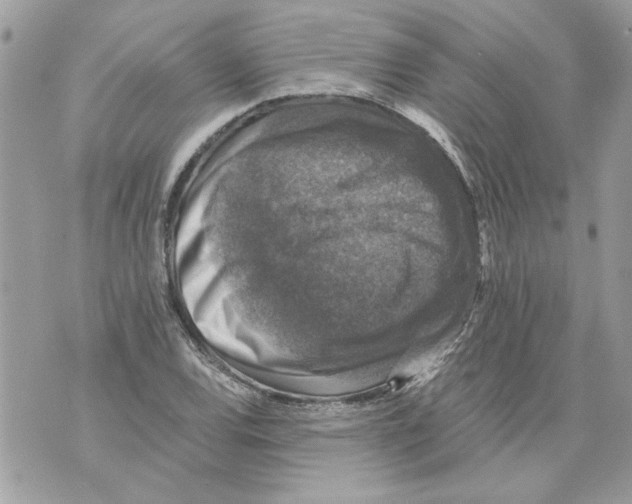 X0000070401120200607072237