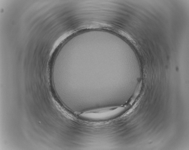 X0000070401122200607072237