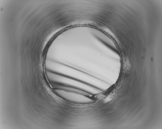 X0000070401124200607072237