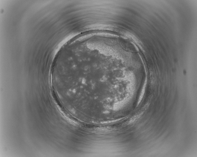 X0000070401125200607072237