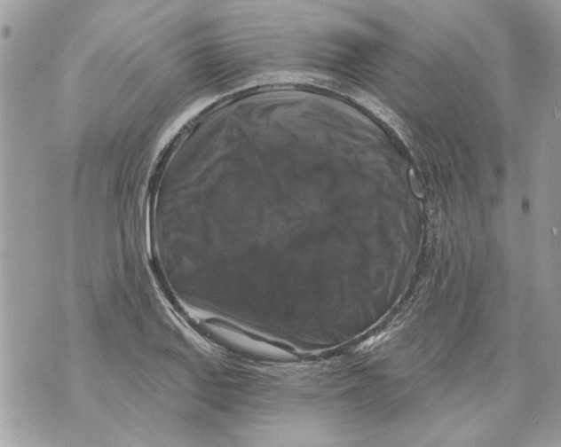 X0000070401127200607072237