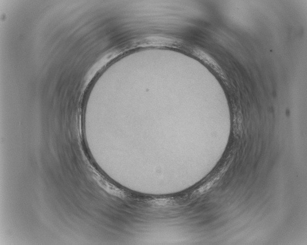 X0000070401130200607072237