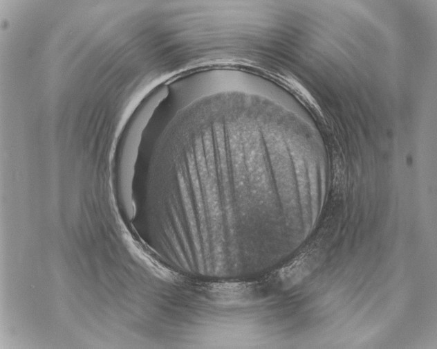 X0000070401132200607072237