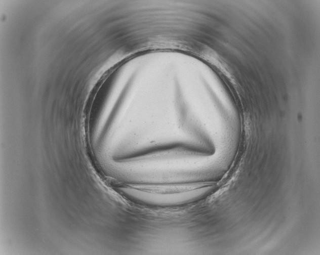 X0000070401133200607072237