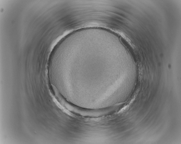 X0000070401134200607072237