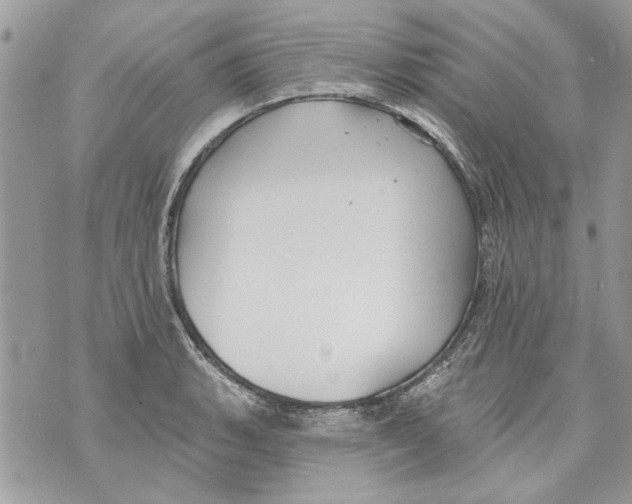 X0000070401135200607072237