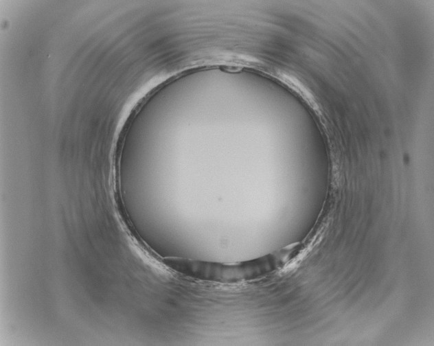 X0000070401136200607072237