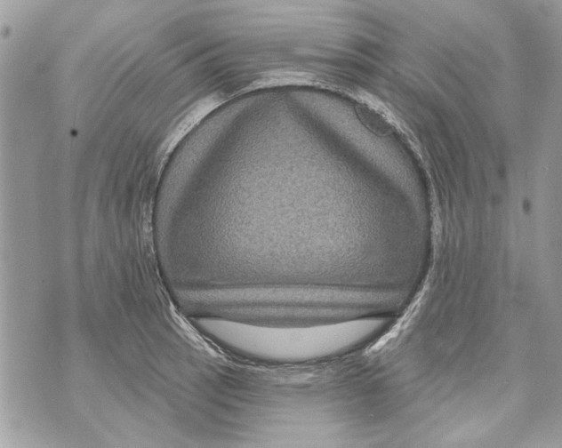 X0000070401137200607072237