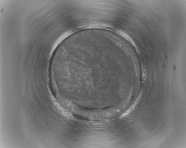 X0000070401138200607072237