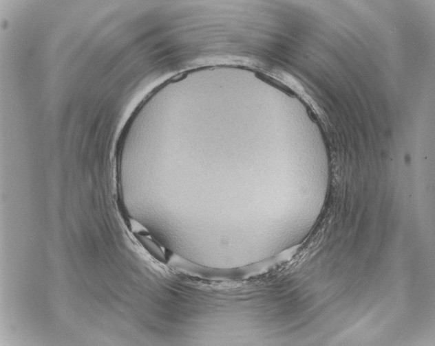 X0000070401140200607072238