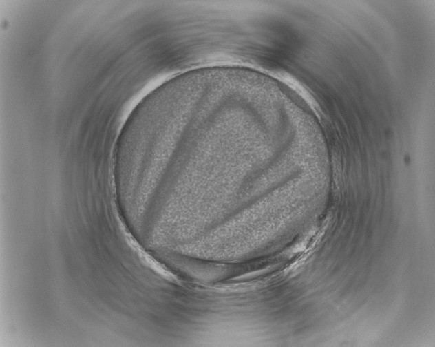 X0000070401142200607072238