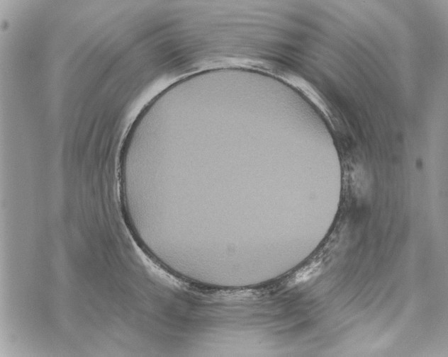 X0000070401143200607072238