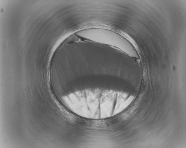 X0000070401144200607072238