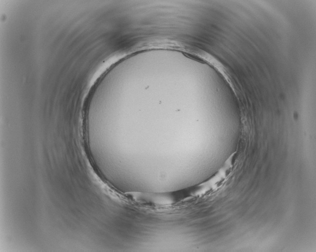 X0000070401147200607072238