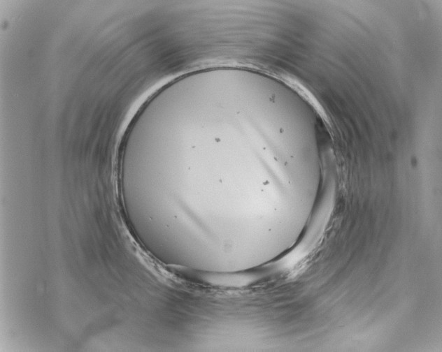 X0000070401148200607072238