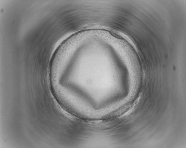 X0000070401149200607072238