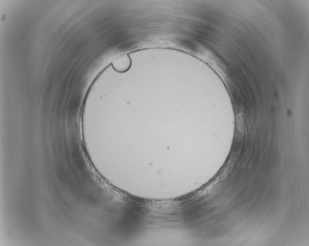 X0000070401150200607072238