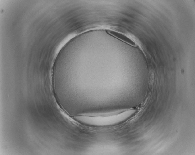 X0000070401151200607072238