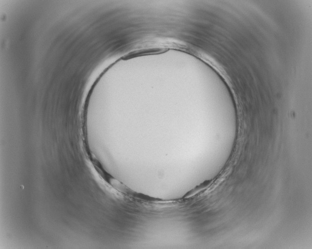 X0000070401152200607072238