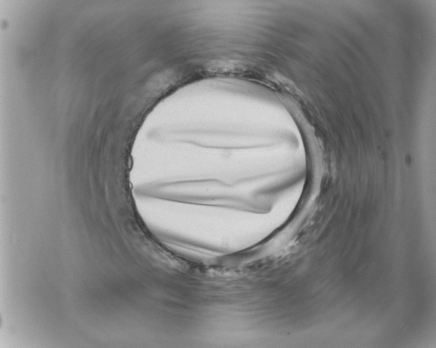 X0000070401153200607072237