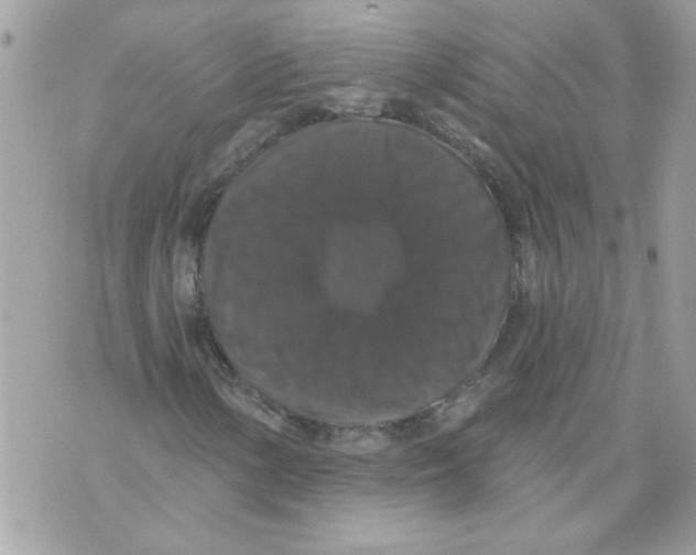 X0000070401154200607072237