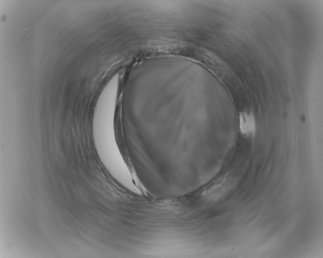 X0000070401155200607072237