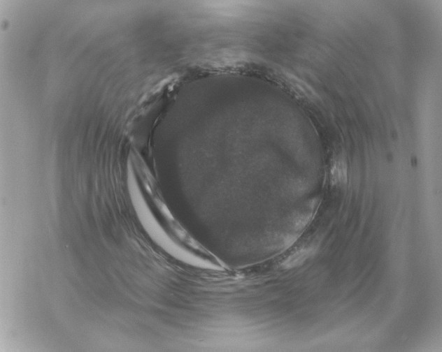 X0000070401156200607072237