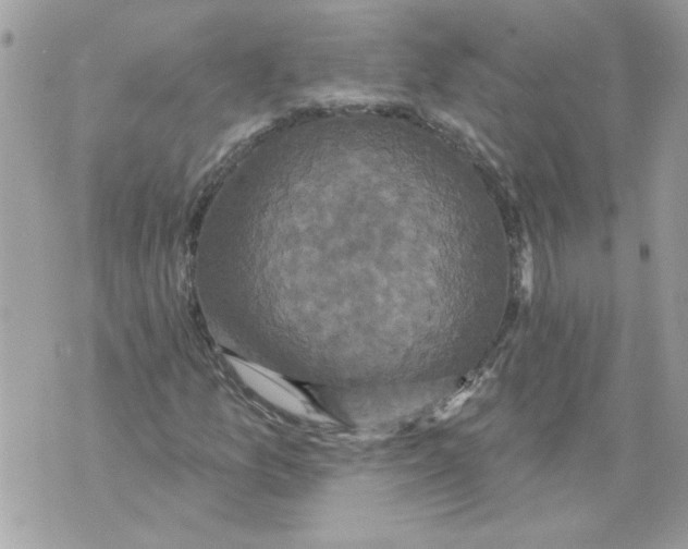 X0000070401157200607072237