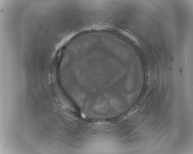 X0000070401160200607072237