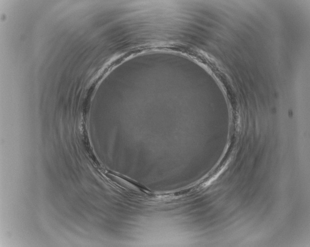 X0000070401161200607072237