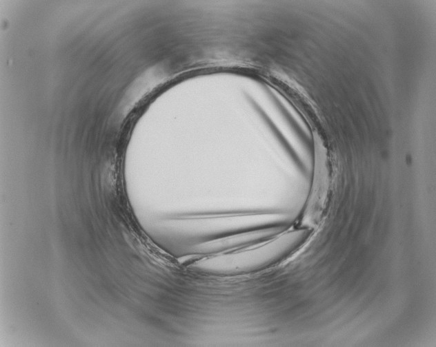 X0000070401163200607072237