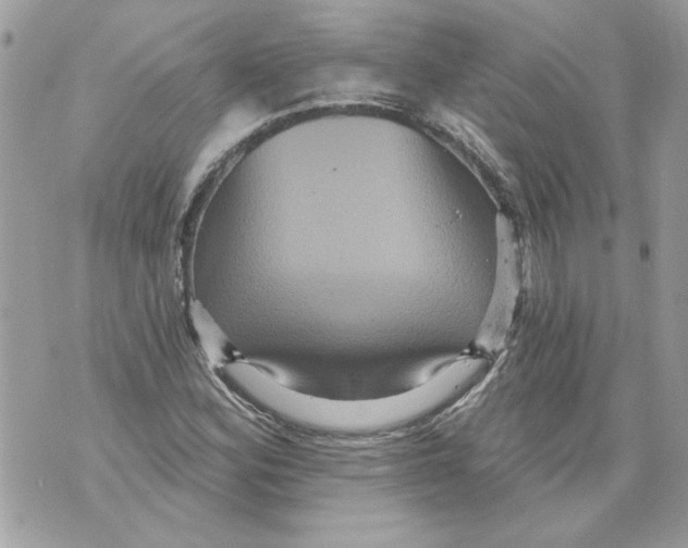 X0000070401164200607072237