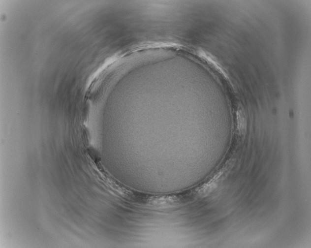 X0000070401165200607072237