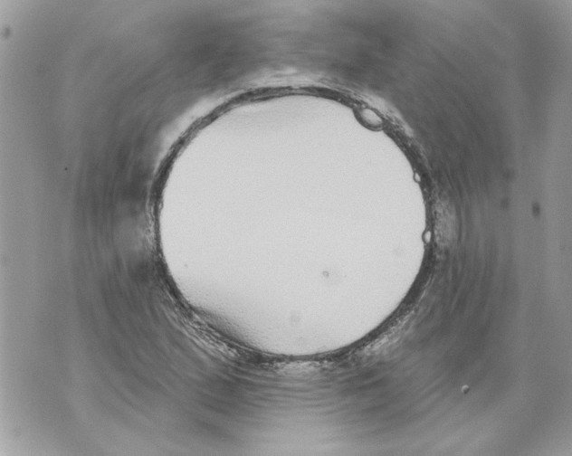 X0000070401167200607072237