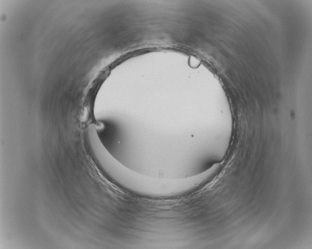 X0000070401168200607072237