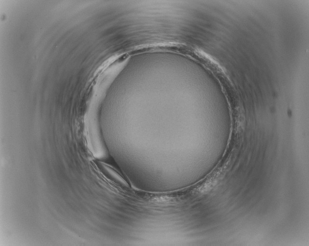 X0000070401169200607072237